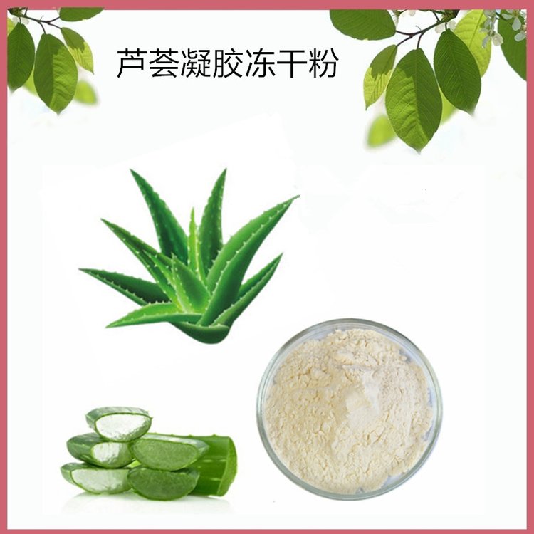 斯诺特 芦荟凝胶冻干粉 200:1 营养全面 压片制粒用