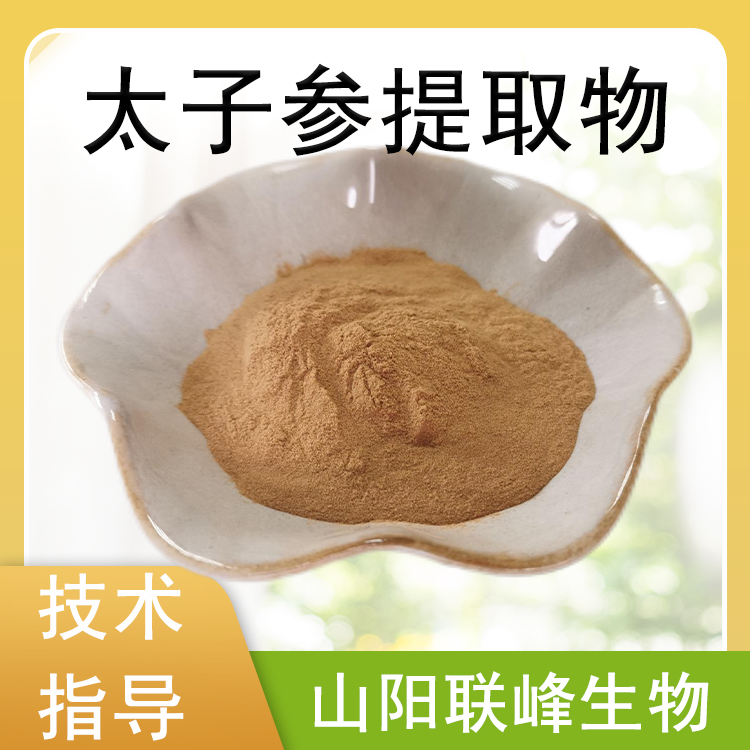 太子参提取物 10：1水溶浓缩粉 太子参粉 太子参皂甙 1kg起订
