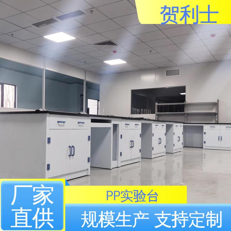厂家直供 pp边台 PP化学实验台 适用于医疗卫生 可按需定制