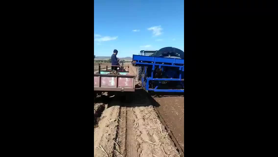 视频