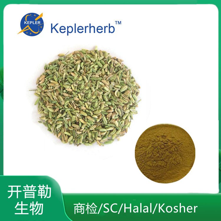小茴香浓缩粉 小茴香提取物 小茴香粉 支持定制 KPL-0067