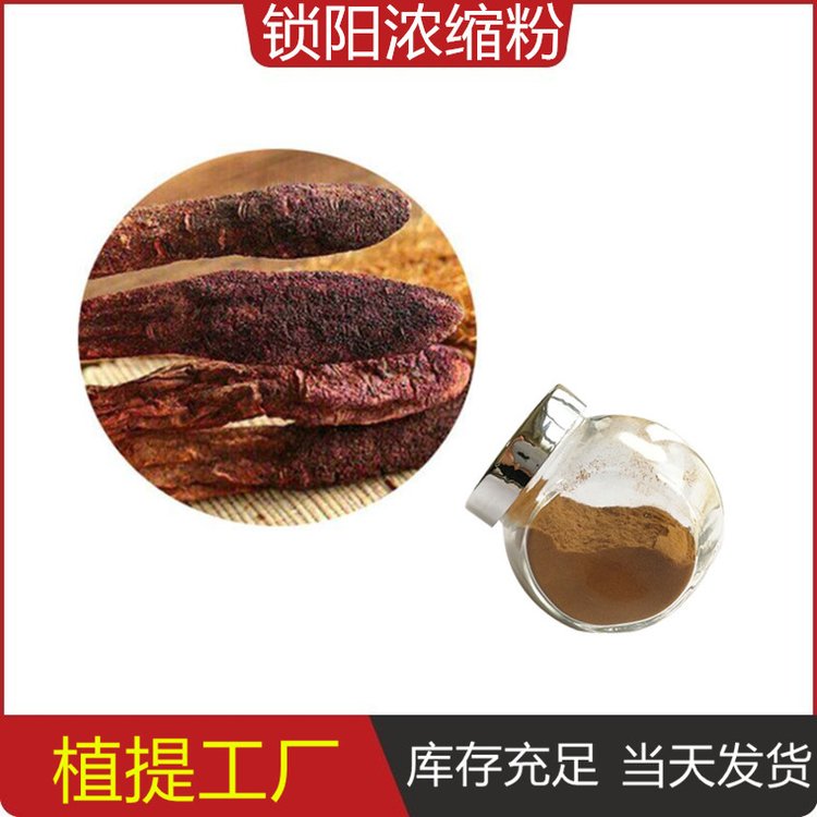 锁阳浓缩粉 水溶性 精细粉末 保健原料 斯诺特 植提老厂