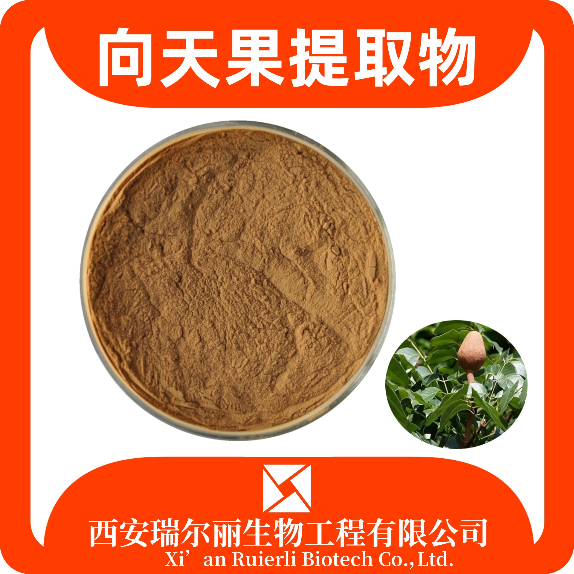 向天果提取物 水溶向天果粉 速溶浓缩粉 源头厂家 SC证瑞尔丽生物