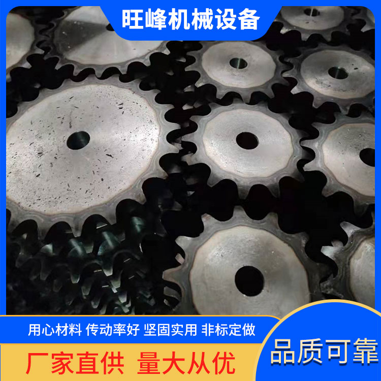 工业提升机单双排链轮 非标定制双节距输送链轮