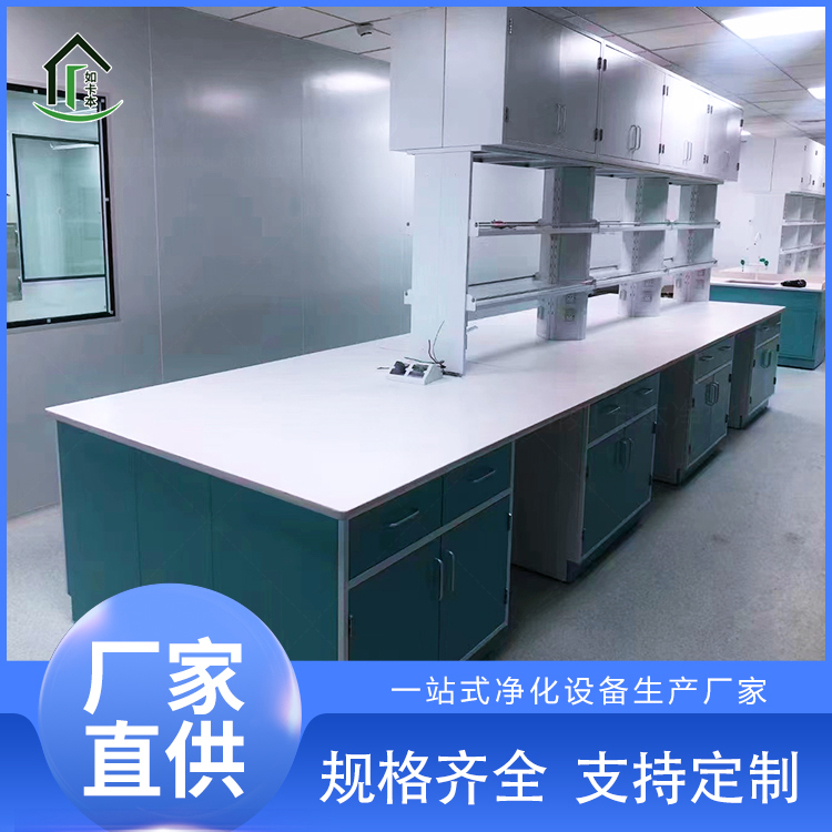 定制钢木实验台 全钢中央操作台 理化板实验桌 实验室家具 净化工程