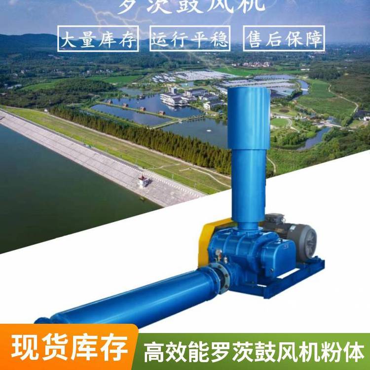 高压罗茨鼓风机 防腐防爆机械密封 高温罗茨风机 低噪音高效风机