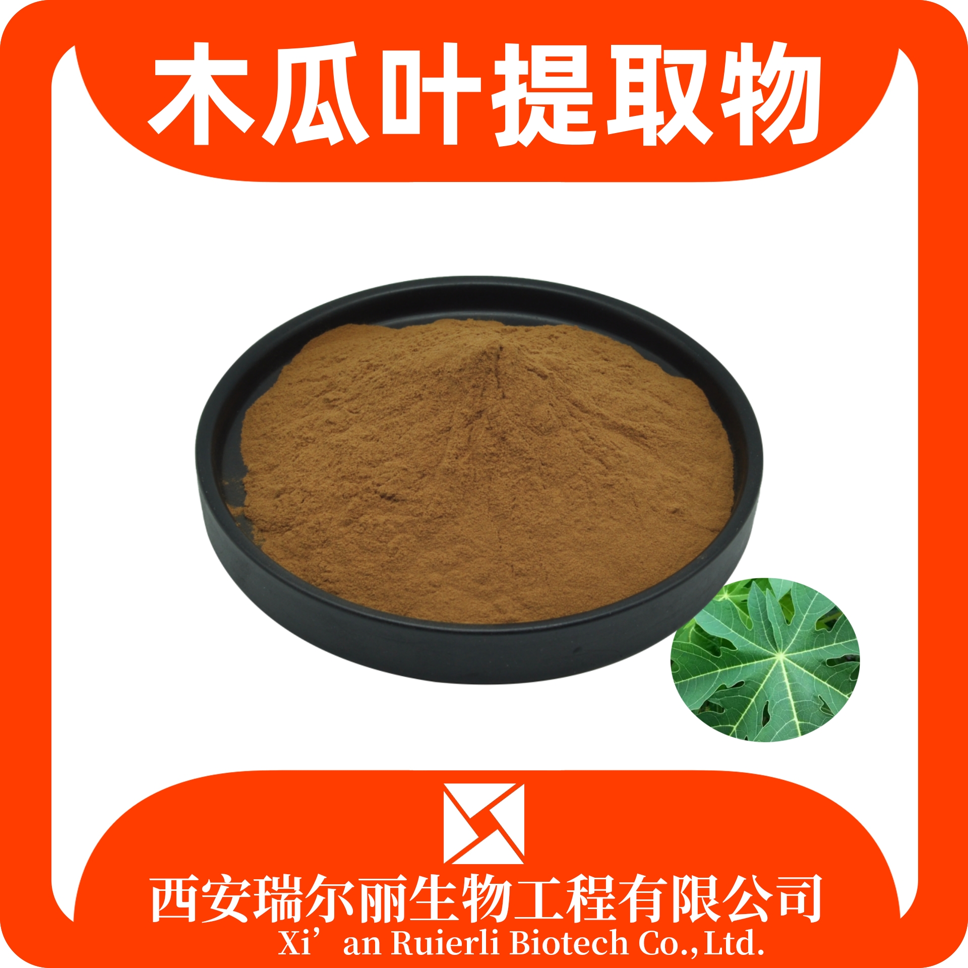 木瓜叶提取物 速溶木瓜叶粉 sc厂家可定制 浸膏粉 源头工厂