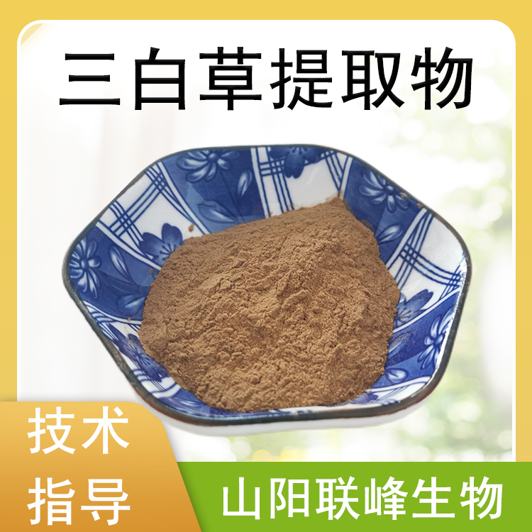 三白草提取物 10：1浓缩粉 三白草粉 喷雾干燥 1公斤起订
