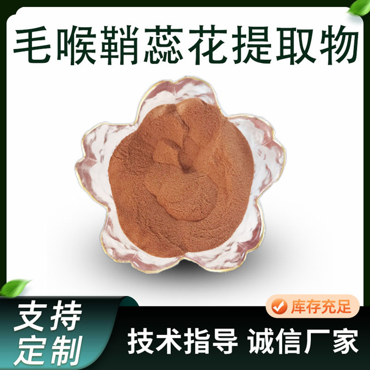 毛喉鞘蕊花提取物 水溶浓缩粉 毛蕊花糖苷 喷雾干燥原料