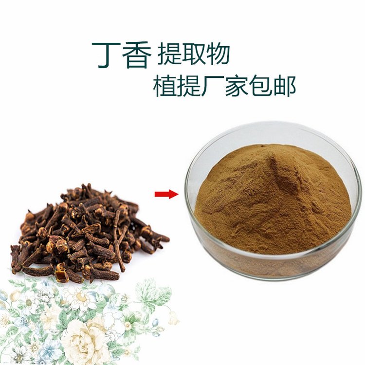 丁香提取物 高倍浓缩萃取 丁香酚 水溶性原料 斯诺特生物