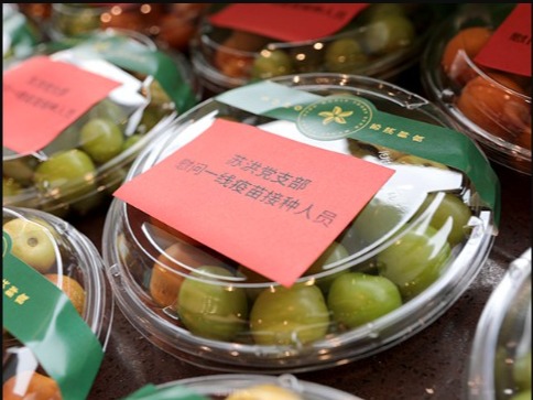 苏洪鲜食
