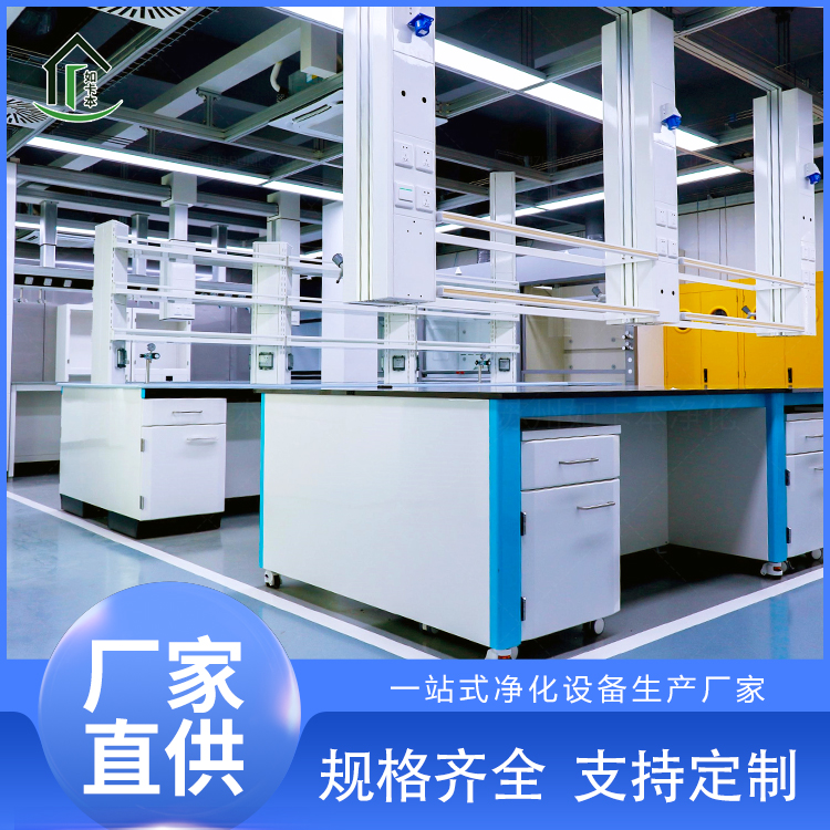定制 全钢实验台 实验室净化厂家 钢木 中央工作台 防腐蚀 理化板 边台