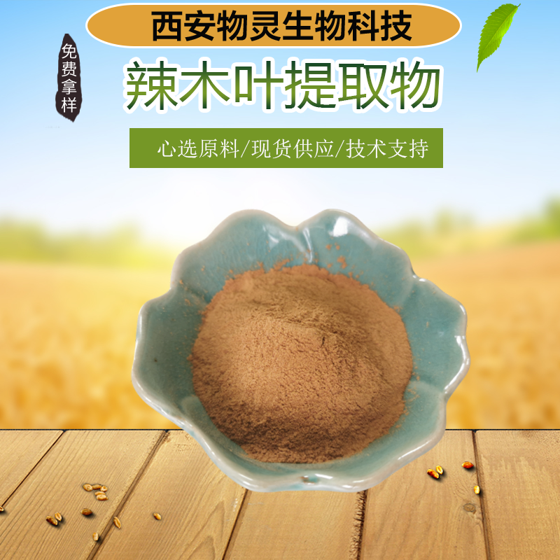 辣木叶提取物 植物萃取10:1 浸膏粉 可定制 物灵生物 现货 药食同源