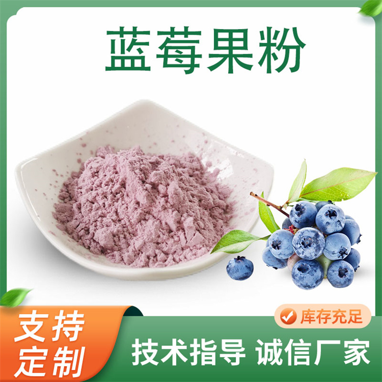 蓝莓提取物 蓝莓粉 果粉浓缩粉 食品原料 饮料原料