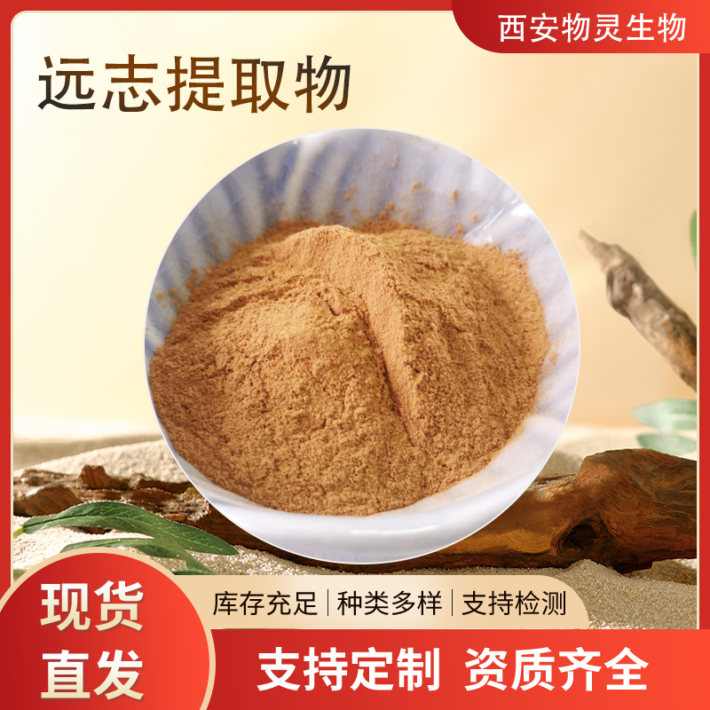 远志提取物 植物萃取 水溶性原料粉 速溶粉 喷雾干燥远志粉 1kg起批