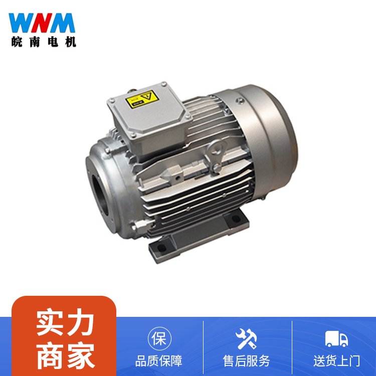 皖南电机 YYVF2系列新能源汽车助力转向泵电 机 振动小噪声低