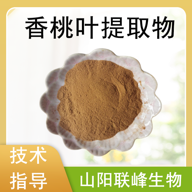 联峰 香桃叶提取物 水溶桃树叶粉 植物萃取原料 多规格 喷雾干燥 SC厂家