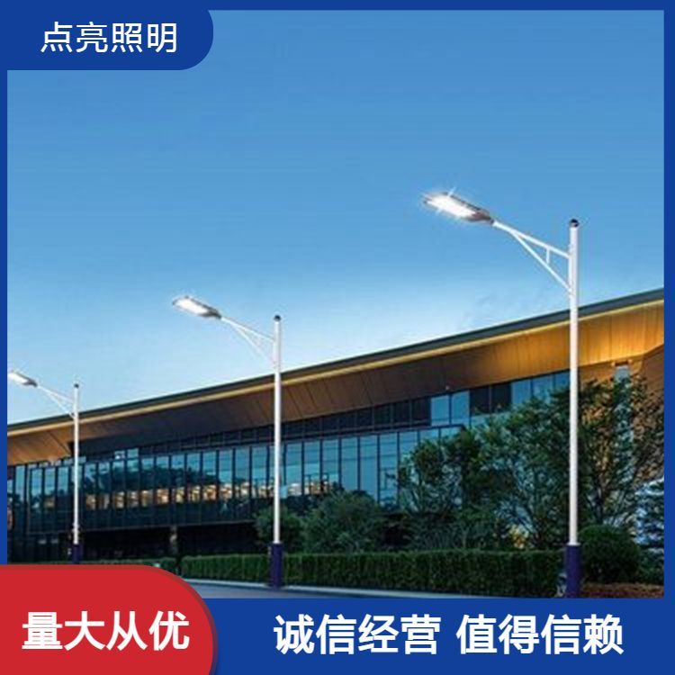 公园景区道路 工程LED路灯 源头厂家 厂家来图定制