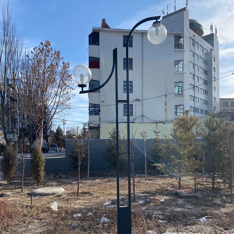 户外太阳能路灯 LED市政工程 乡村建设太阳能灯 可选众城光电