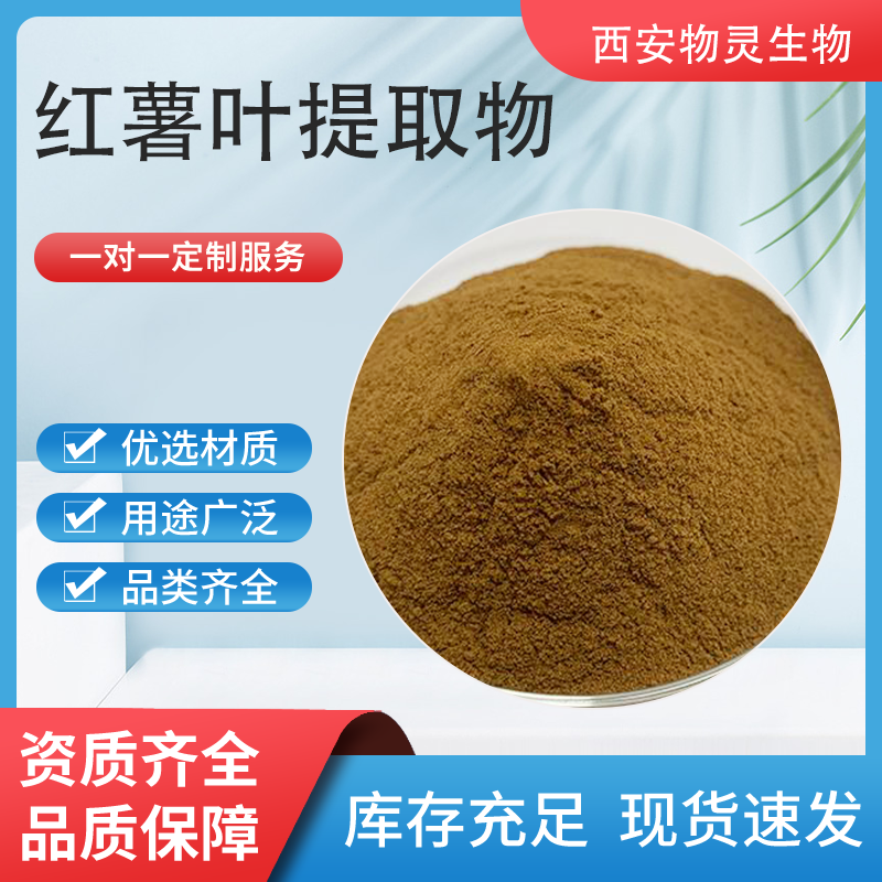 红薯叶提取物 10:1 水溶性 地瓜叶浓缩粉 喷雾干燥 食品级原料