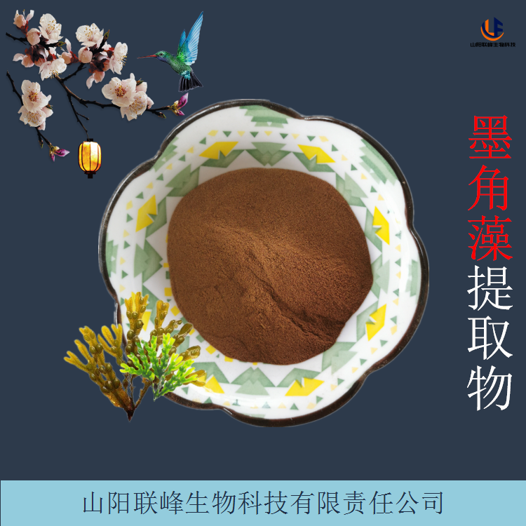 墨角藻提取物 10:1水溶浓缩粉 墨角藻多糖 原料添加粉