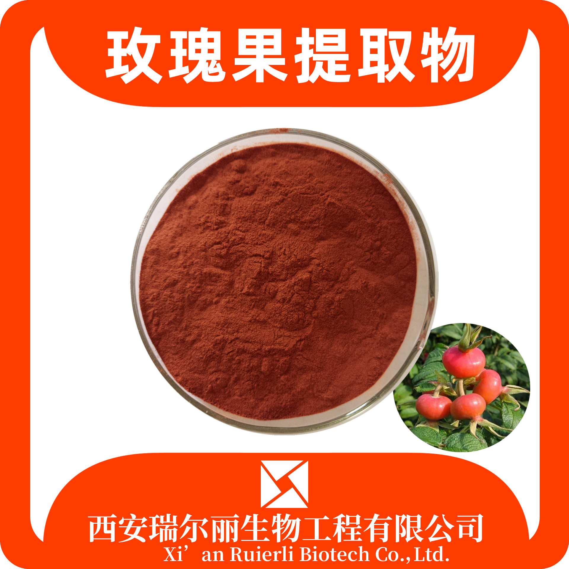 玫瑰果提取物10：1玫瑰果粉 速溶浓缩粉 玫瑰果浸膏 瑞尔丽生物