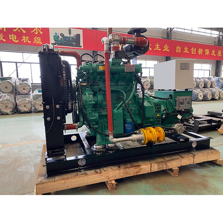 捷力300KW 燃气发电机组 液化气 CNG LNG 静音 方舱电站 保证质量