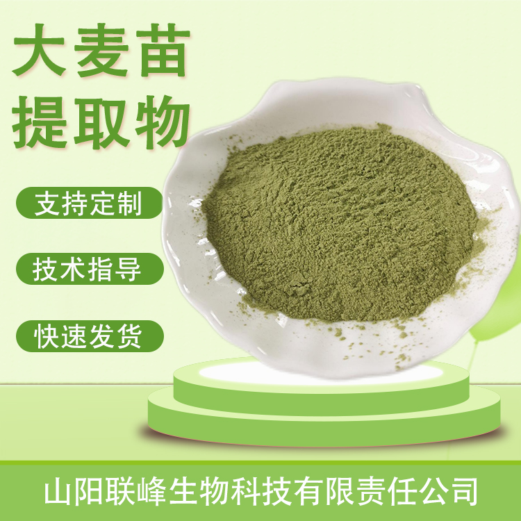 大麦苗提取物 10：1水溶浓缩粉浸膏 喷雾干燥 食品原料植物萃取
