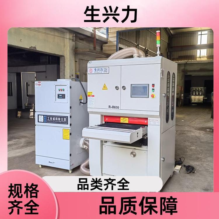 生兴力RR630 双面打磨钢板 全自动去毛刺机 自动化 选材优良
