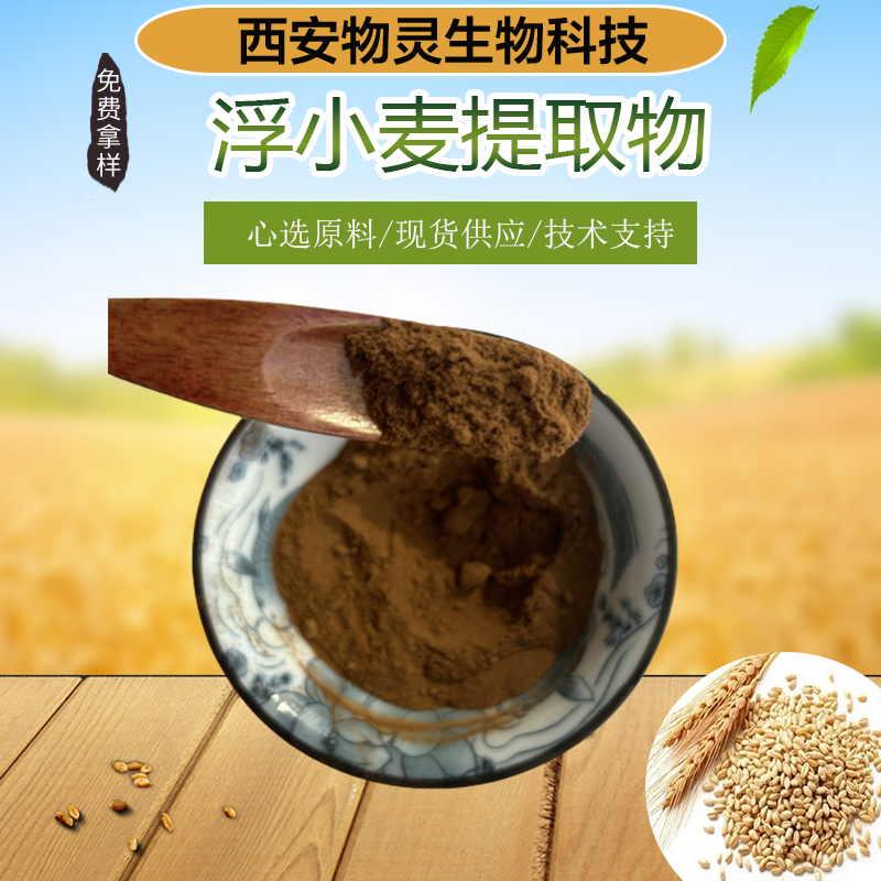 物灵 浮小麦提取物 10:1 浓缩 喷雾干燥 植物萃取粉 水溶 多规格可定制