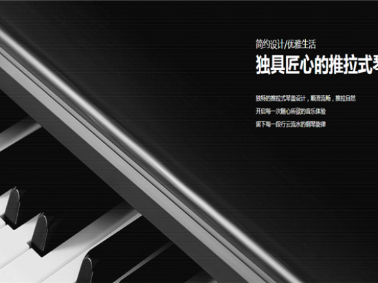飞音琴行