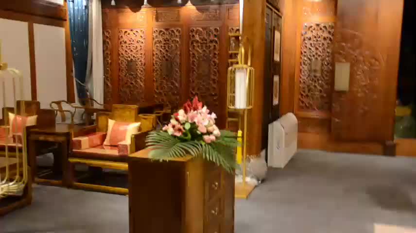 视频