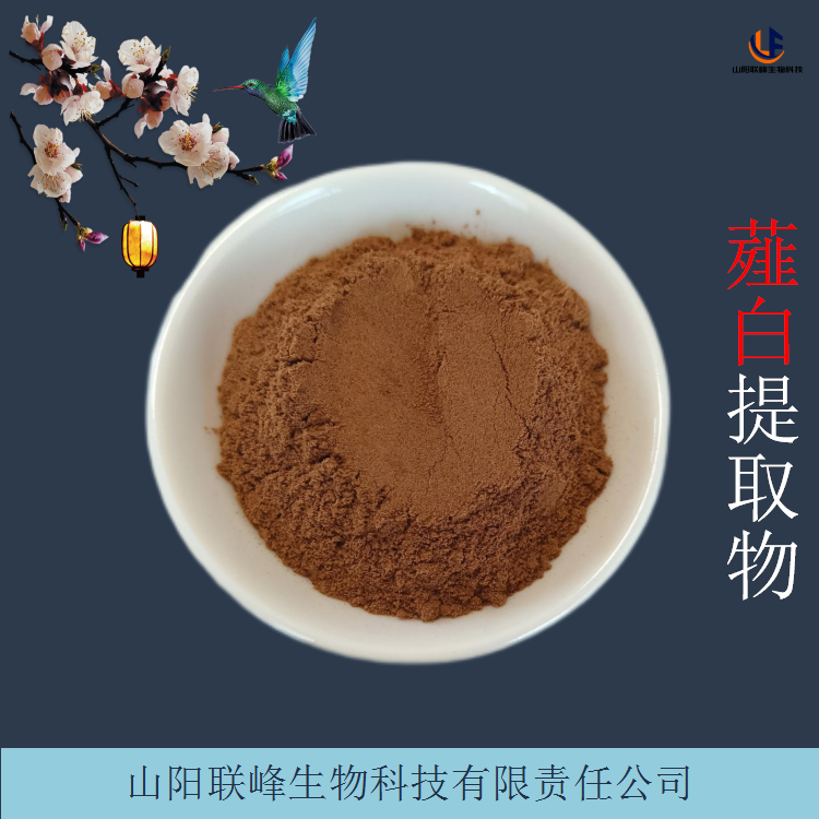 食品固体饮料原料 薤白提取物 薤根浸膏粉 水溶性好