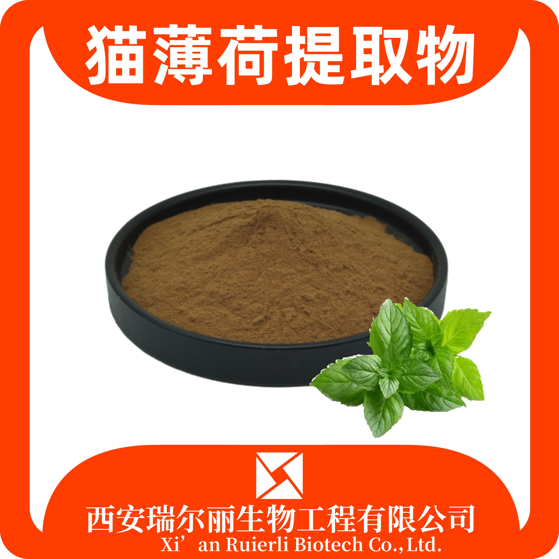 猫薄荷提取物 水溶猫薄荷粉 浓缩粉 SC证 可定制浸膏粉 源头工厂
