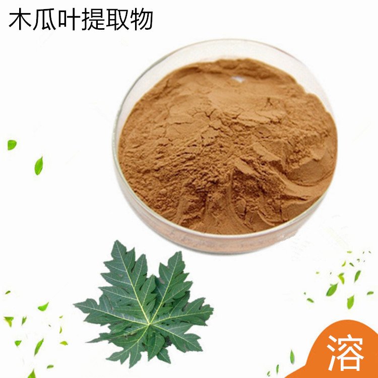 木瓜叶提取物 浓缩木瓜粉 植物萃取 规格齐全 斯诺特生物