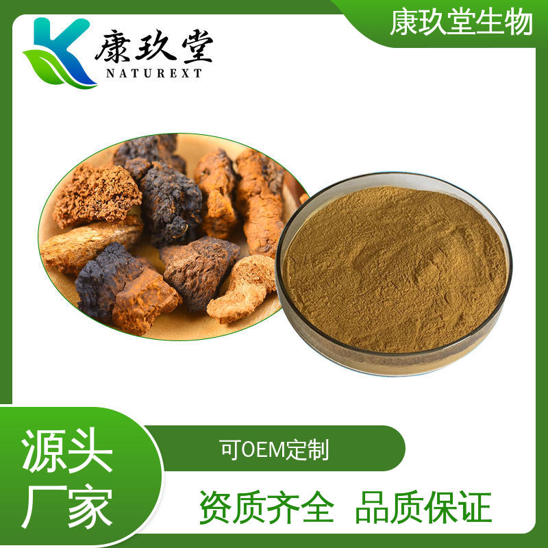 康玖堂 设备先进 可OEM定制 棕色粉末 白桦茸提取物