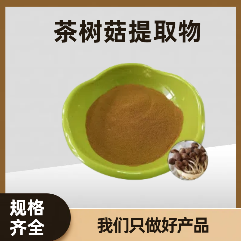 杨树菇浓缩粉 茶树菇提取物 茶树菇多糖 食品级原料 可定制规格