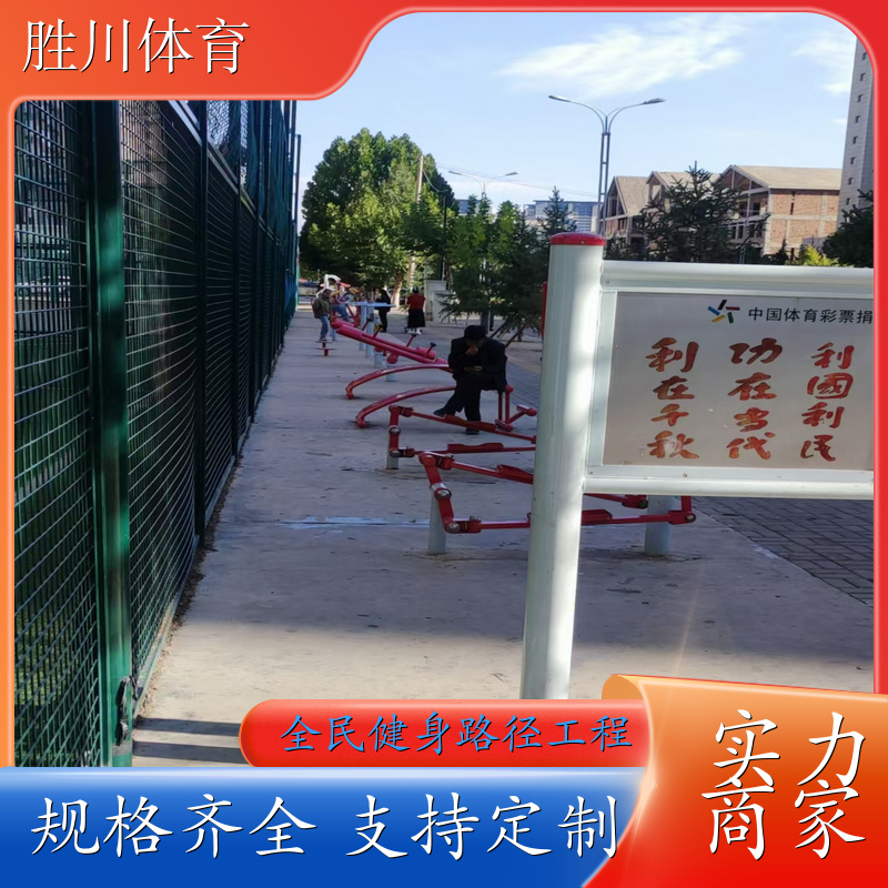 小区公园健身路径 弹力压腿器 三位太空漫步机 平梯 跑步机 胜川体育