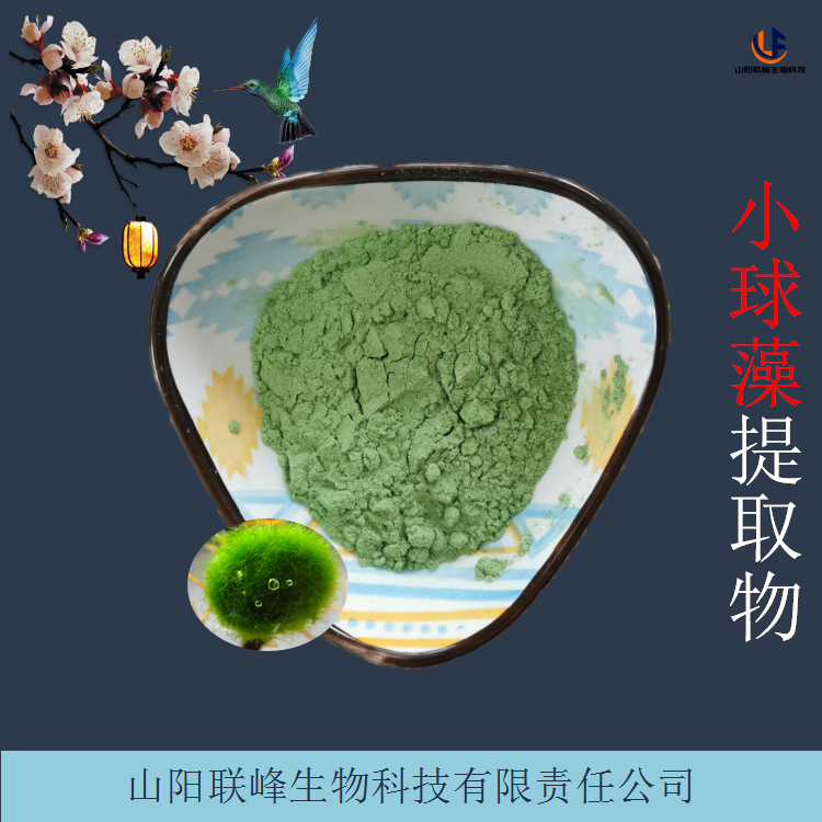 小球藻提取物 破壁蛋白核球藻粉 10:1水溶 SC国标