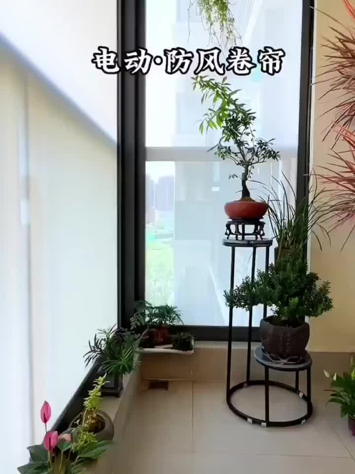 视频