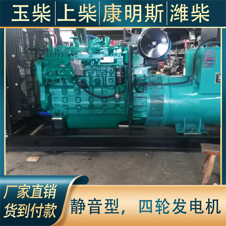 伟隆 高原矿山必备电源 重量轻油耗低 防雨罩型 250KW柴油发电机