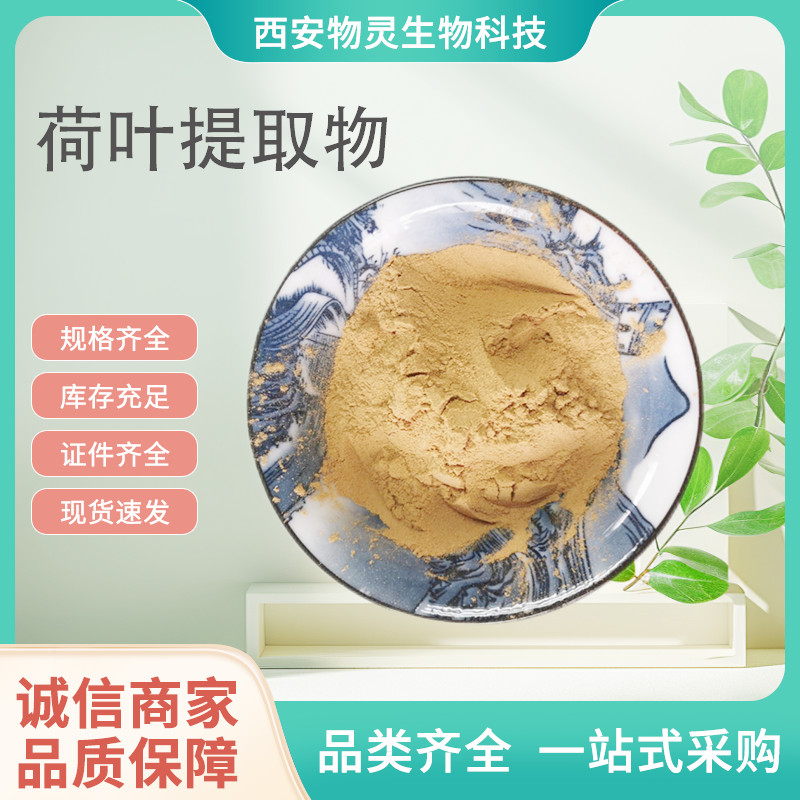 荷叶提取物 水溶莲叶粉 浸膏喷干粉黄酮 浓缩原料供应 可定制