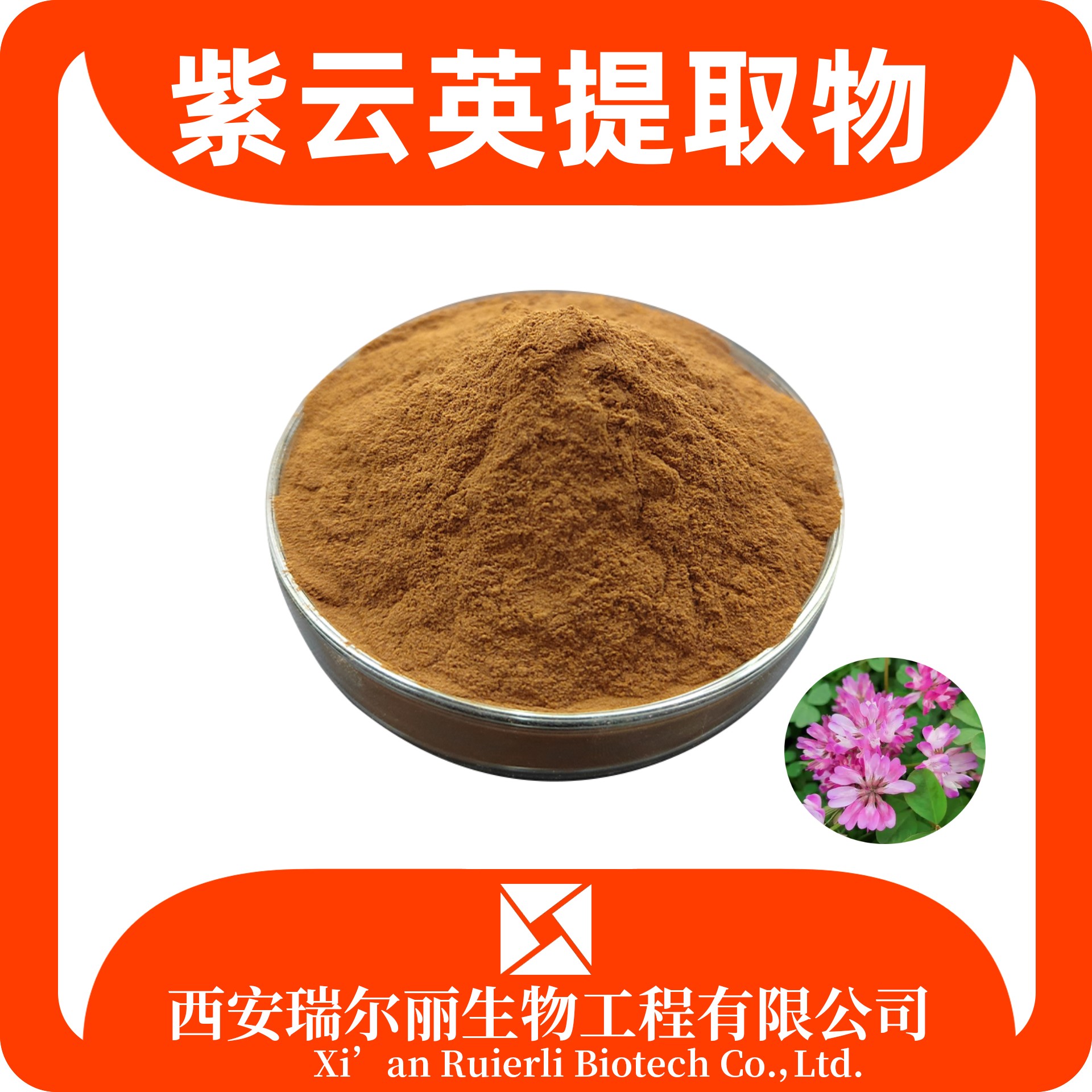 紫云英提取物 速溶紫云英粉 SC证可定制 免费拿样 瑞尔丽生物