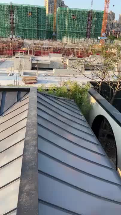 视频