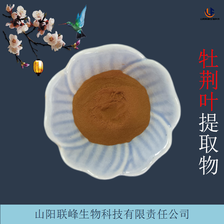 牡荆叶提取物 浓缩牡荆叶粉 黄荆条叶浸膏 规格齐全