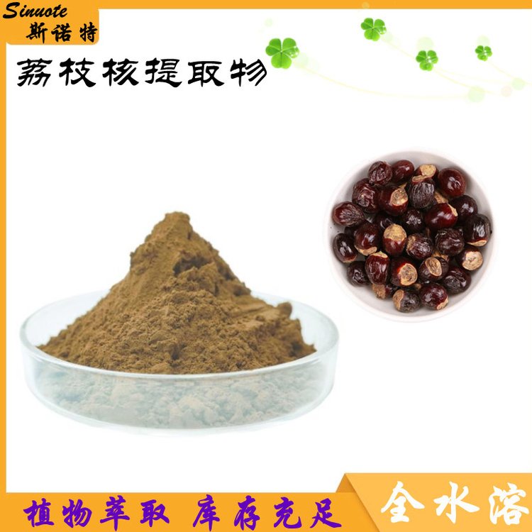 荔枝核提取物 水提工艺 粉末状 斯诺特 丹荔浓缩粉 库存充足