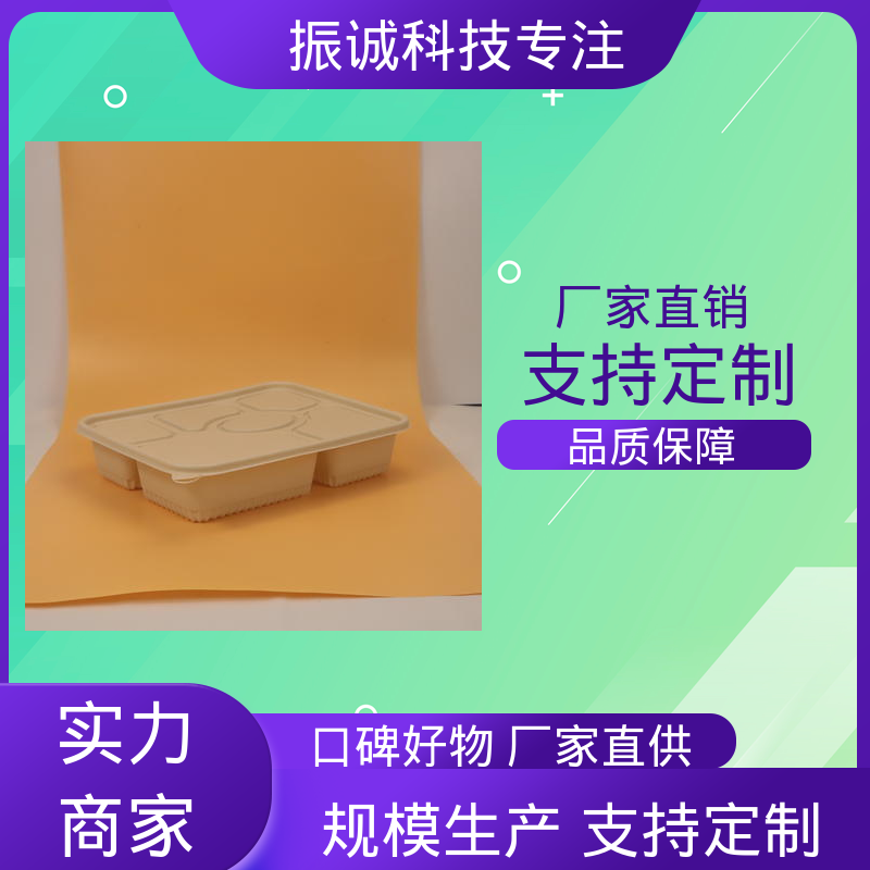 振诚科技 符合限塑标准餐盒 可冷冻 餐厅餐馆都能用