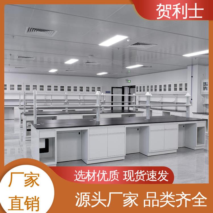 贺利士 服务优先 客户至上 全钢实验家具 检测机构专用 耐高温