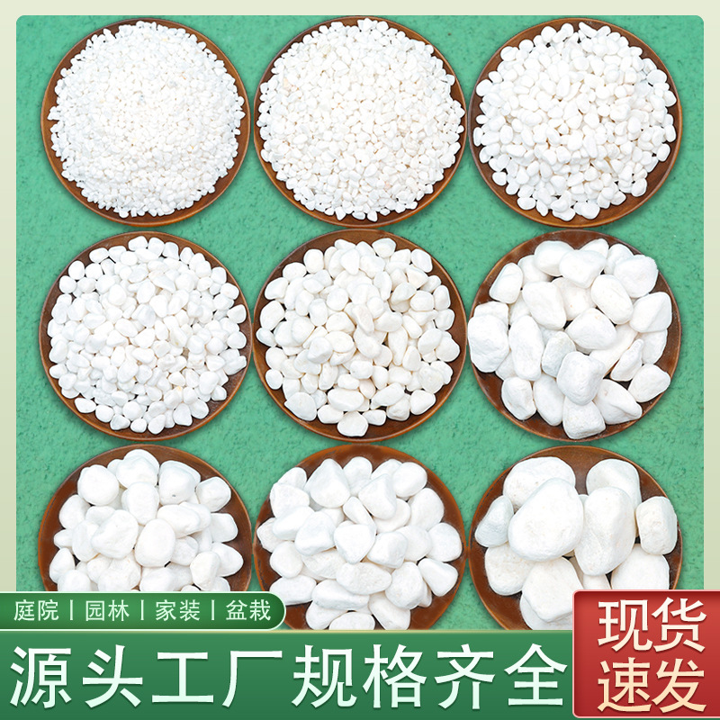 广进雨花石厂家出售白色鹅卵石 雪花白园林庭院家装铺面砾石