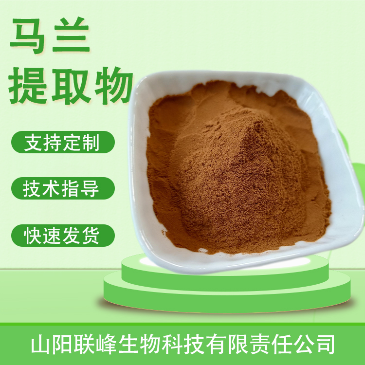马兰提取物 10：1水溶浓缩粉 植物萃取原料 喷雾干燥 可定制